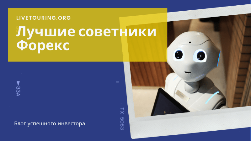 rejting-luchshih-sovetnikov-foreks-2024-obzor-i-sravnitelnyj-analiz